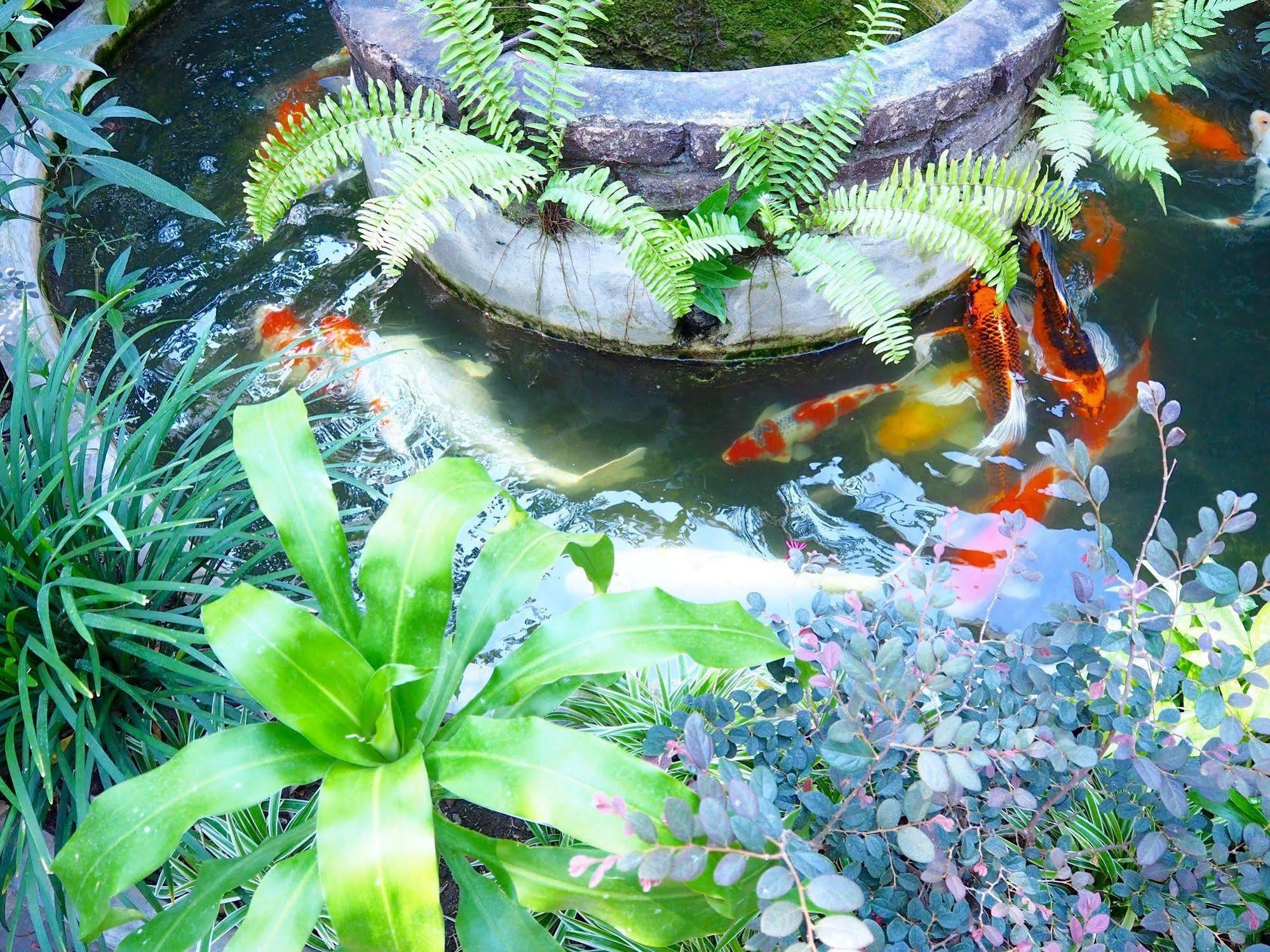 Stay With Me Guest House Chiang Mai Eksteriør billede
